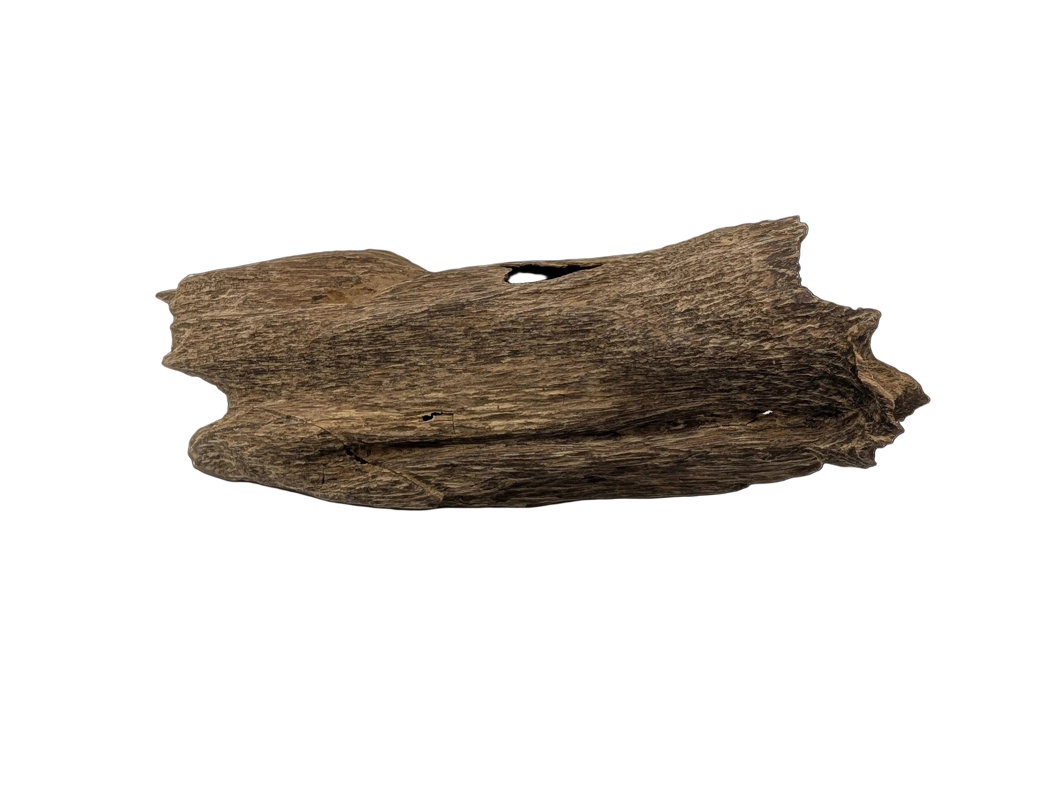 The Secret of Malinau: Why This Rare Indonesian Oud is a Royal Favorite